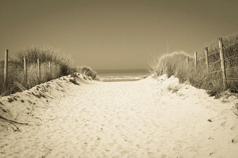 sandweg oostduinkerke von peter lissens