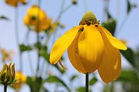 Ein Moment in der Zeit