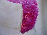 Bridal gown with hydrangea