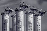 Wachters op Weg naar de Wind.