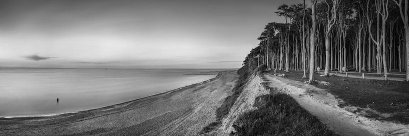 Landscape at the Baltic Sea in Mecklenburg Vorpommern in black and white. by Manfred Voss, Black-White Photography