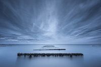 Mussel piles Opal Coast