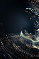 Araignée du pont Erasmus 2022