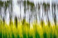 Abstract landscape photography