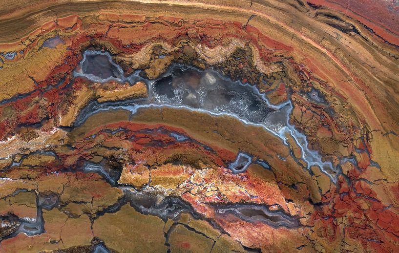 Petrified wood by Franke de Jong