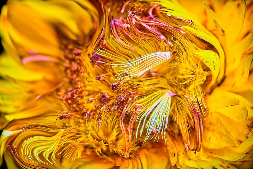 Das geheime Leben der Pflanzen Nr. 4 von Jenco van Zalk