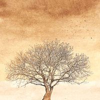 Baum mit Blattverlust