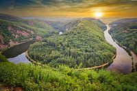 Vue de la Saarschleife depuis la tour de la promenade dans les arbres.