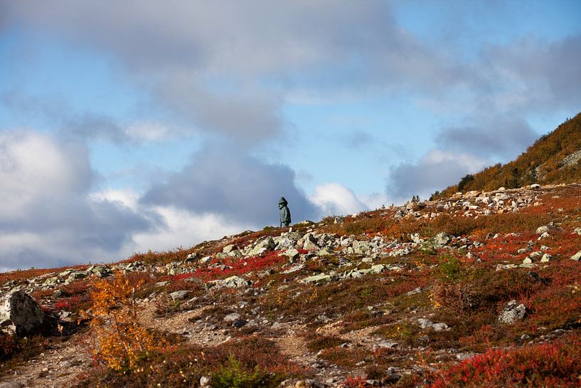 Nipgubben, Nipfjallet, Idre, Dalarna von Corrie Post