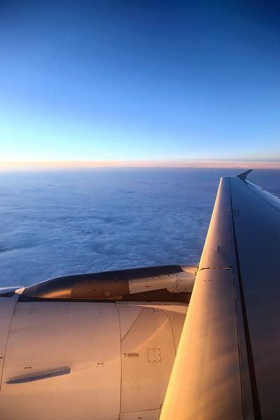 Airplane during sunset by Inge van den Brande
