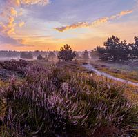Zwischen dem Blau und der goldenen Stunde