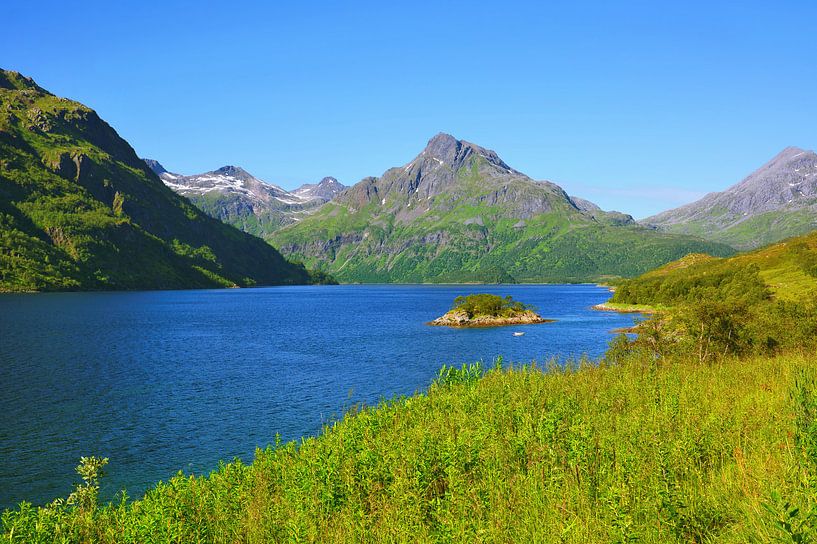 Blick auf den Innerfjorden nahe Møysalen von Gisela Scheffbuch