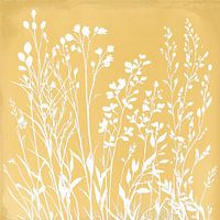 Silhouettes naturelles