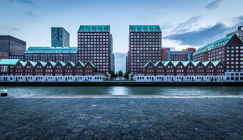 Avenue du sud  par Ton Kool