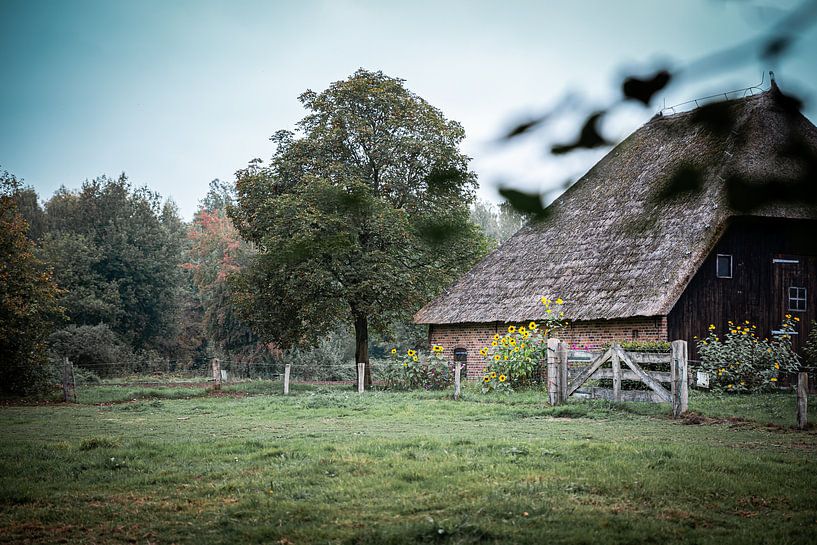 Farm-face by Danique Habets