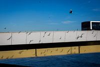 Linien auf der Wilhelmina-Brücke in Maastricht