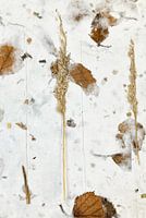 Autumn leaves and summer grass