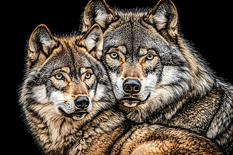 Two wolves in the dark by Art & Soul Creations