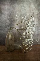Still life with baby's breath
