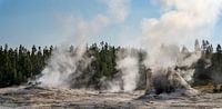 Geisers in Yellowstone National Park, USA