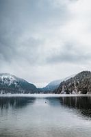 Alpsee | Winter in de Alpen