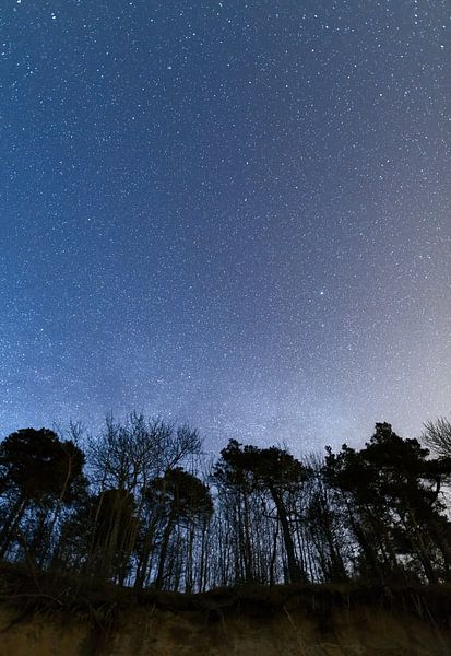 Ciel nocturne clair et plein d'étoiles encadré par des arbres par Yevgen Belich