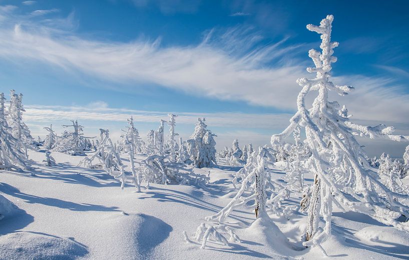 Hiver sur le Brocken par Daan Kloeg