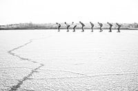 Eisspaß auf Natureis, The Flaes, Esbeek