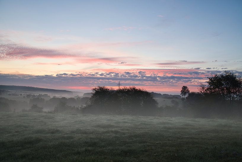 Tree in a meadow in the fog at sunrise by Martin Köbsch