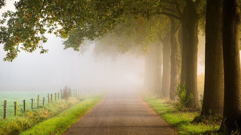 . by Frederik van der Veer