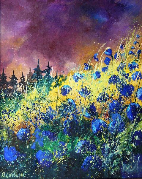 Heidelbeeren von pol ledent