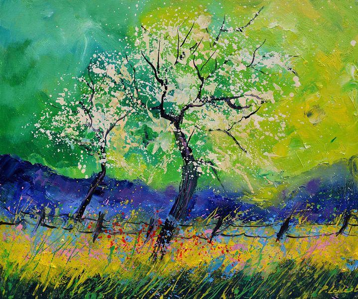 Blüte von pol ledent