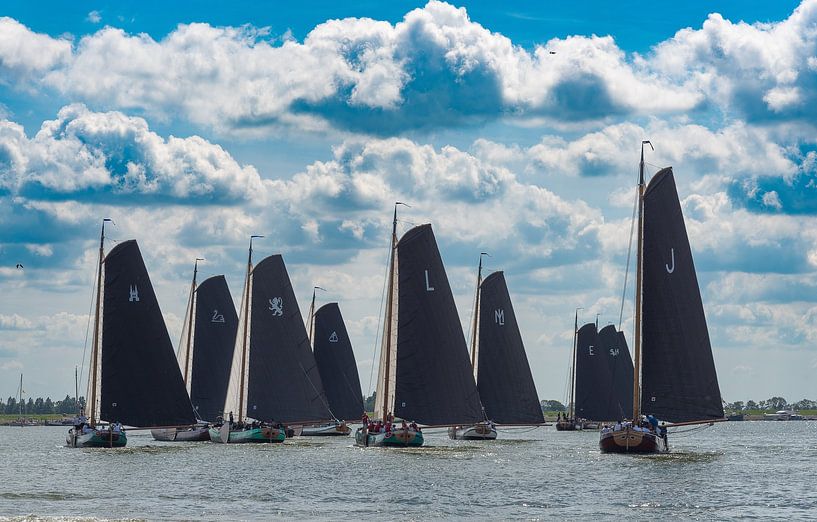 Ein guter Überblick über das Spiel von Johan Swaneveld