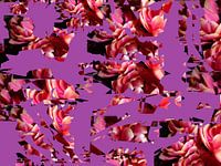 Rêve de fleurs mauves par Elle Hart