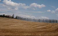 colline toscane