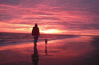 Avondrood in Zeeland, Sunset