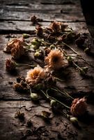 Schönheit liegt in der Unbeständigkeit