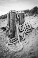 ? Entdecken Sie die Magie von Sint Maartenszee mit unserer exklusiven Seesäule! ?