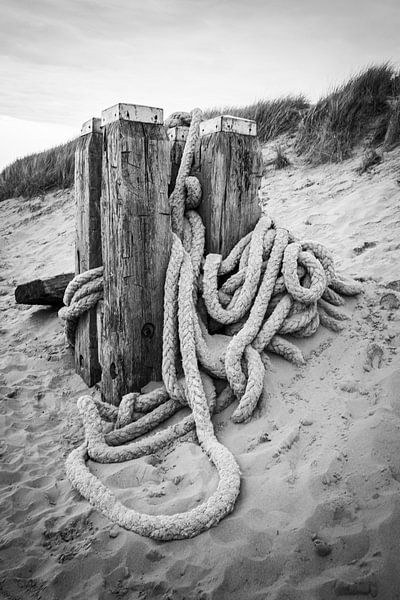 ? Entdecken Sie die Magie von Sint Maartenszee mit unserer exklusiven Seesäule! ? von Eriks Photoshop