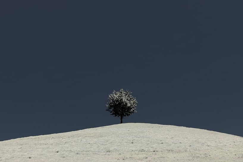 Drumlin Minimalismus, Schweiz von Adelheid Smitt