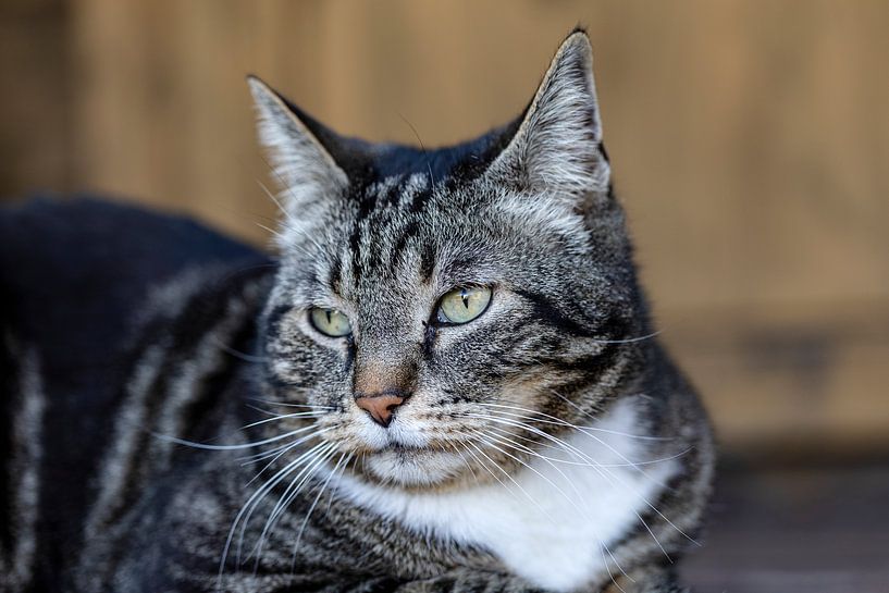 In die Ferne schweifen von Harald Schottner