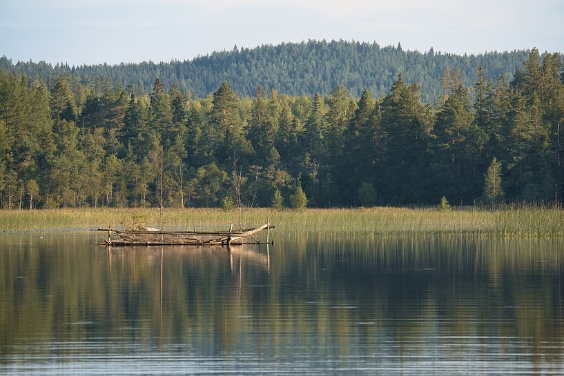 See in Schweden mit weißen Wolken, blaues Wasser und Bäumen am Ufer von Martin Köbsch