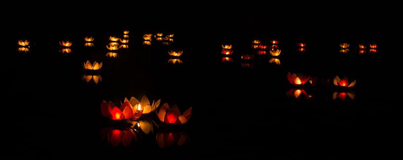 Beleuchtete Lilien auf dem Wasser. von Karl Smits