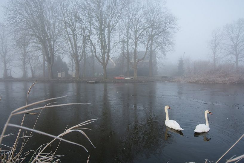 Zwanenmeer von Marco Bakker