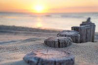 Poteaux sur la plage en Zélande