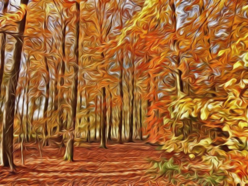 forest in autumn colours in digital art by Joke te Grotenhuis