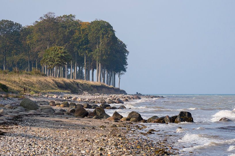 La côte nord de Funen par Liesbeth Vogelzang