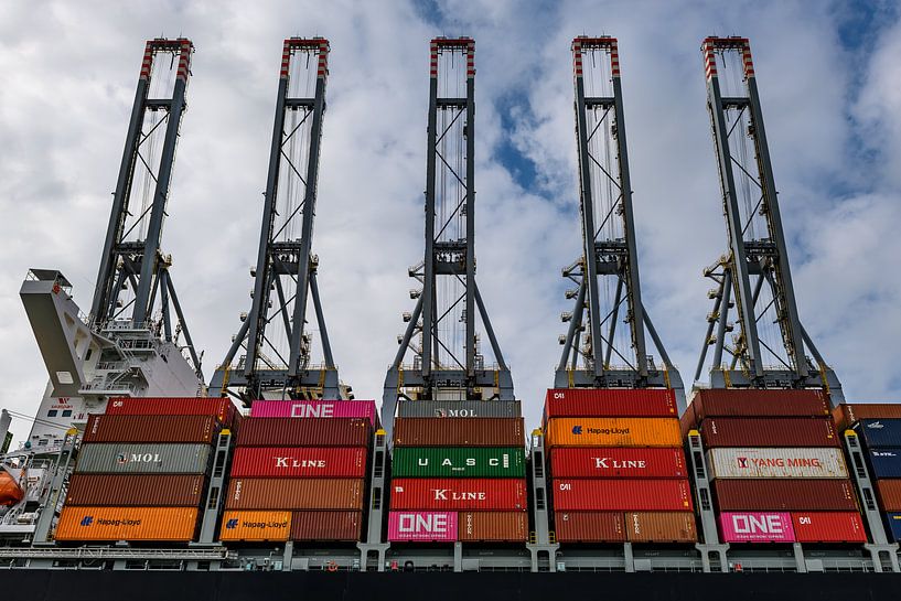 Container Terminal Rotterdam van Nico Roos