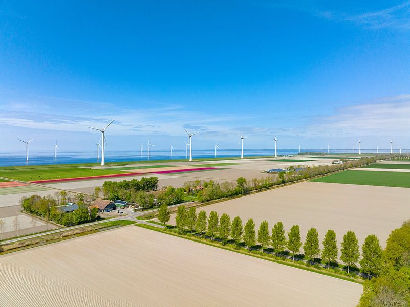 Landwirtschaftliche Felder im Frühling mit Windkraftanlagen im Hintergrund von Sjoerd van der Wal Fotografie