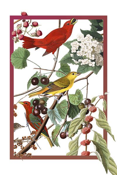 Redbirds in einem Rahmen von Jadzia Klimkiewicz